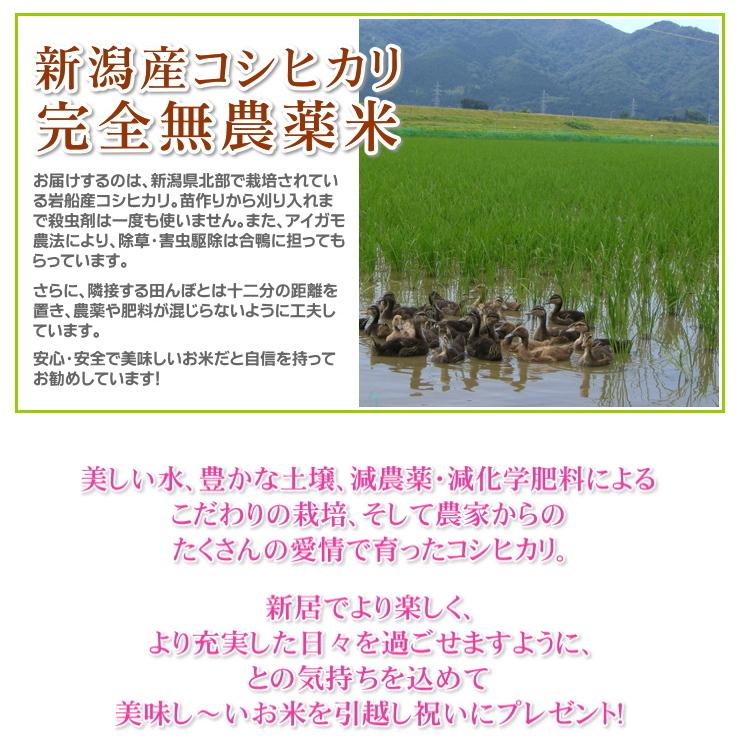 引っ越し 挨拶 品物 お米 2kg 農薬不使用 希少米 コシヒカリ 無洗米 新潟米 産地直送 人気 プチギフト ギフト 引越 内祝 景品 送料無料