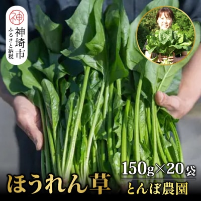 ほうれん草 約3kg(150g x 20袋)(H091109)