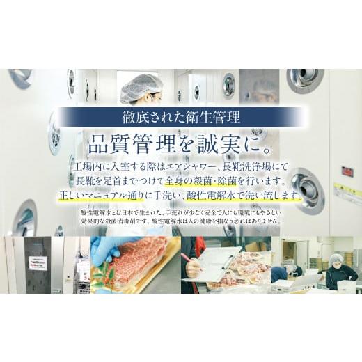 ふるさと納税 熊本県 八代市 あか牛もつ鍋セット (あか牛ミックスホルモン500g、もつ鍋スープ500ml×2)