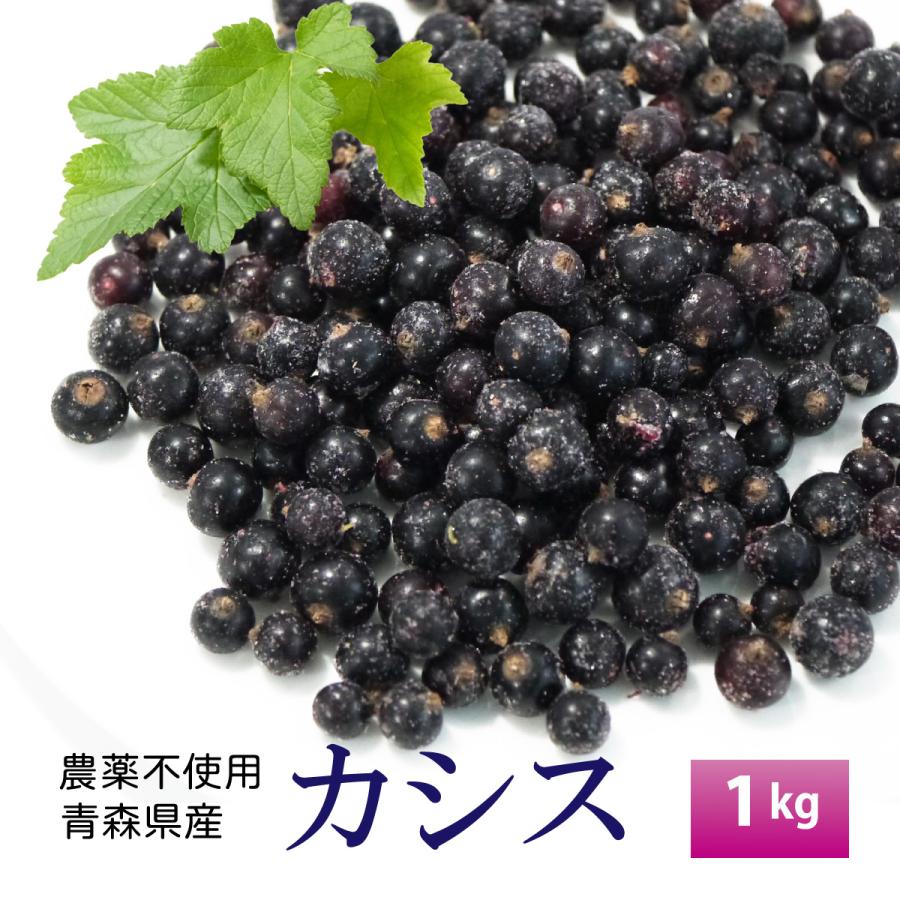 （冷凍）国産冷凍カシス果実（青森産・農薬不使用）約1kg 冷凍フルーツ　2023年新物