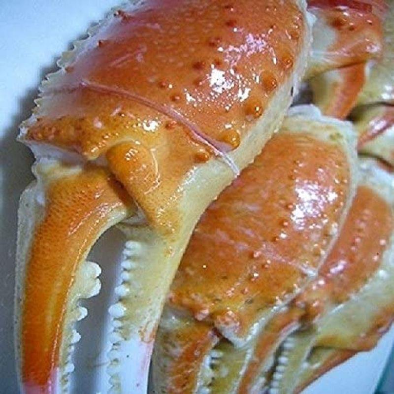 かに爪 カニ爪 ズワイガニ爪1ｋｇ 26個から30個 売れ筋サイズ 粒揃い 国内加工