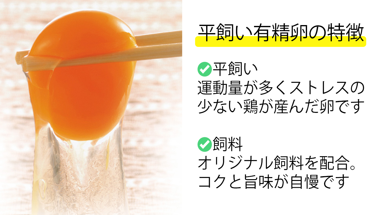 JK-05　のびのび育ちの平飼い有精卵（30個×6ヶ月）