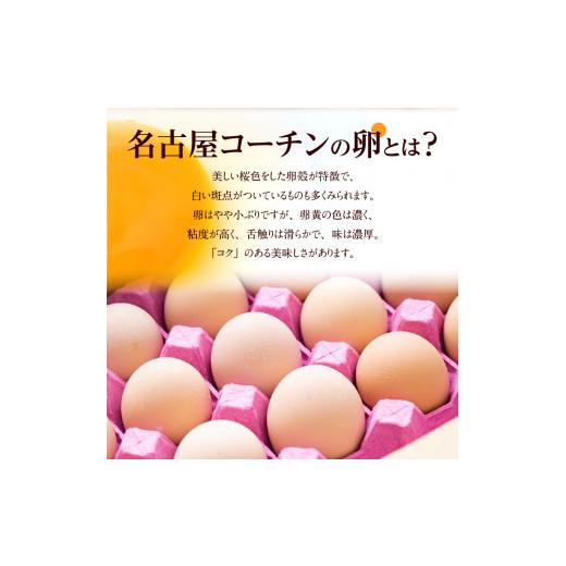 ふるさと納税 愛知県 小牧市 名古屋コーチン卵(30個入り)×3回（計90個）