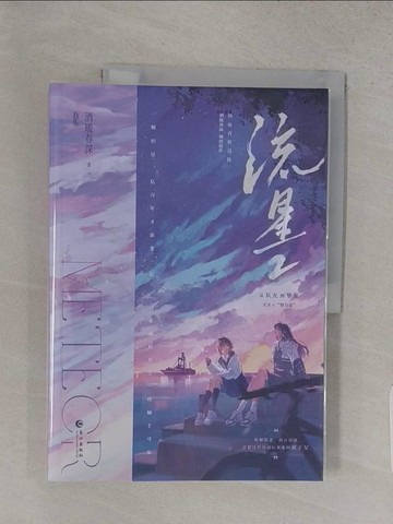 【書寶二手書T1／一般小說_YVX】流星2（簡體書）_酒暖春深