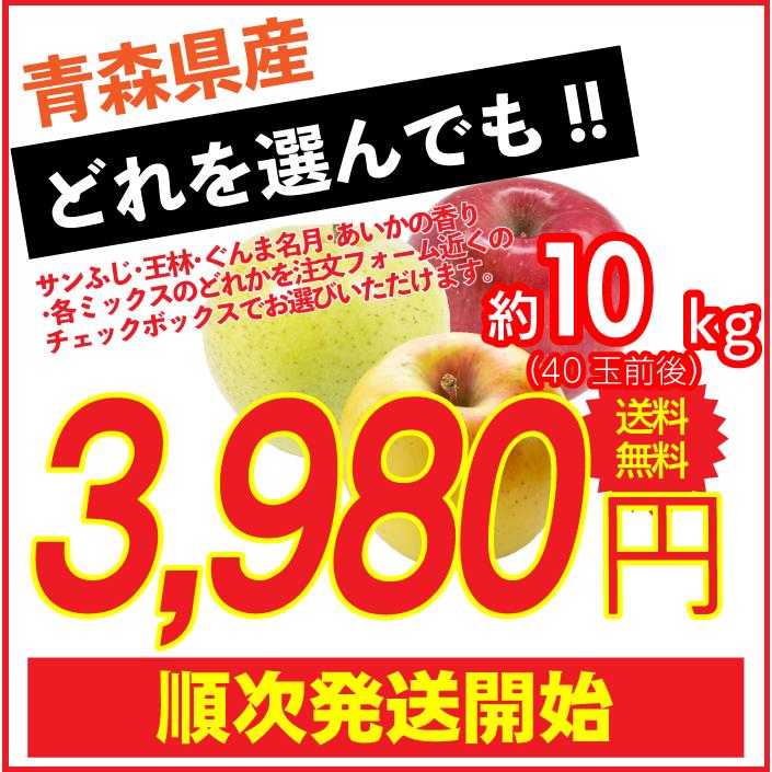 訳ありりんご 10kg 40玉前後 青森県産 送料無料 葉取らずりんご 訳あり 蜜入り リンゴ 林檎 お得用 ご家庭用 果物 フルーツ １０kg