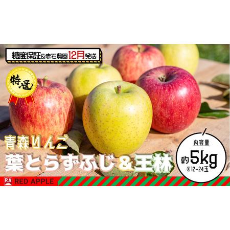 ふるさと納税 13度糖度保証 特選 蜜入り葉とらずふじ＆王林 約5kg 青森県弘前市