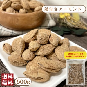 殻付きアーモンド 500g メール便 送料無料 ナッツ おつまみ 殻 アーモンド ロースト※出荷納期案内画像を必ずご確認ください