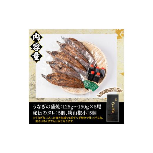 ふるさと納税 鹿児島県 鹿屋市 1043-1 昭和56年創業 うなぎの川豊 有頭  蒲焼き 5尾 セット