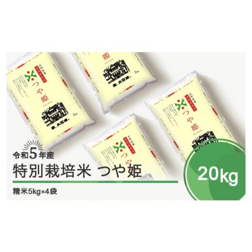 ふるさと納税 山形県 大石田町 令和6年3月下旬発送 つや姫20kg 精米 先行予約 令和5年産