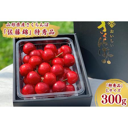 ふるさと納税 令和6年産 特秀品 さくらんぼ「 佐藤錦 」300g L以上 2024年産 山形県産 山形産 　016-A-AF.. 山形県寒河江市