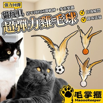 貓玩具 彈力雞毛球 寵物玩具 彈跳球玩具 羽毛彈跳球 彈力球 逗貓球 跳跳球 貓咪啃咬玩具 毛掌櫃寵物