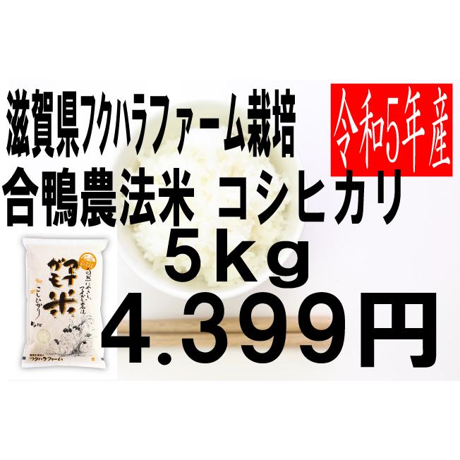 米　令和5年度産　滋賀県産　フクハラファーム栽培　合鴨農法　コシヒカリ 5kg