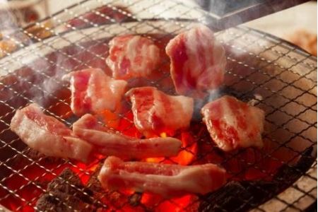 ブリオ　焼肉・BBQセット　　牛肉に負けない豚肉の味をご体験