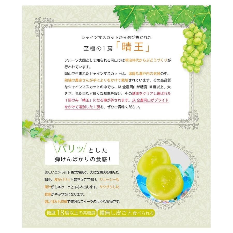 お試し用 岡山県産 シャインマスカット 晴王 優品1.2kg (2〜4房) 簡易包装 ご家庭用 ぶどう 葡萄 ブドウ フルーツ