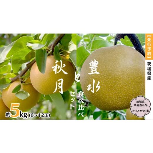 ふるさと納税 茨城県 桜川市  茨城県産 梨 豊水と秋月の食べ比べセット 約5kg 6玉〜12玉(茨城県共通返礼品 かすみがうら市)  (2024年9月上旬発送…