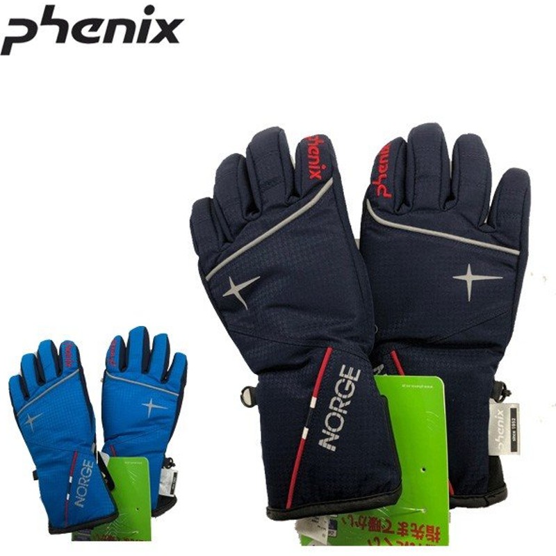 フェニックス スキー ジュニア手袋 Norway Alpine Team Boy S Gloves 子供用グローブ 男の子 通販 Lineポイント最大0 5 Get Lineショッピング
