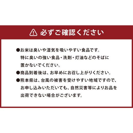 ふるさと納税 熊本県 人吉市 特別栽培米 森のくまさん 10kg (5kg×2)