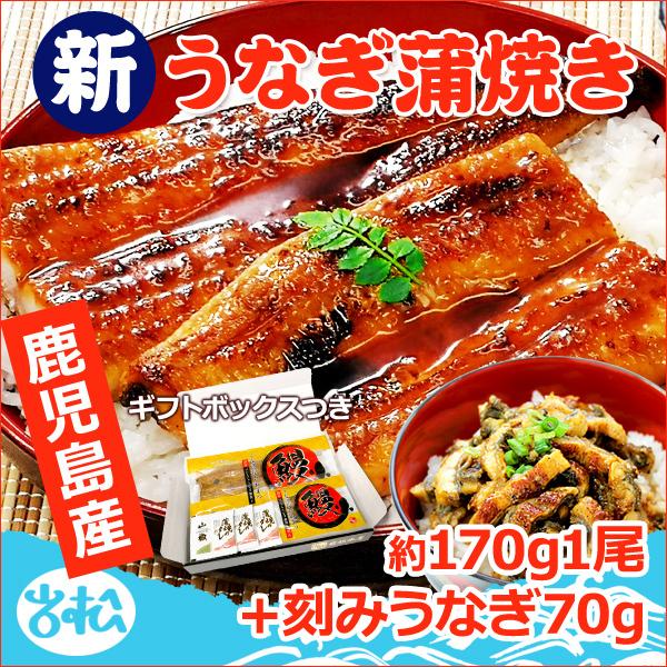 鹿児島産 新 国産 うなぎ蒲焼き 約170g 1尾＋刻みうなぎ70g 送料無料 ギフトボックス付 お取り寄せグルメ 海鮮 プレゼント グルメ ギフト