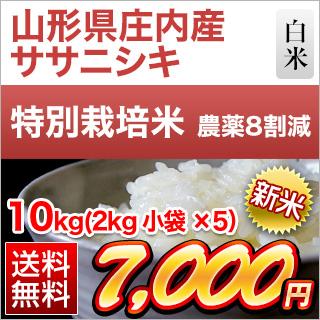 新米 令和5年(2023年)産 山形県庄内産 ササニシキ 10kg(2kg×5袋)