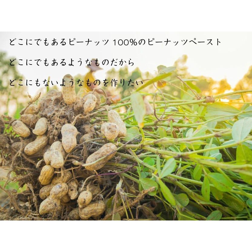 千葉県産落花生100％使用 ピーナッツバター 無添加 無糖 スムースタイプ お買い得 3本セット ピーナッツペースト　お歳暮　お中元