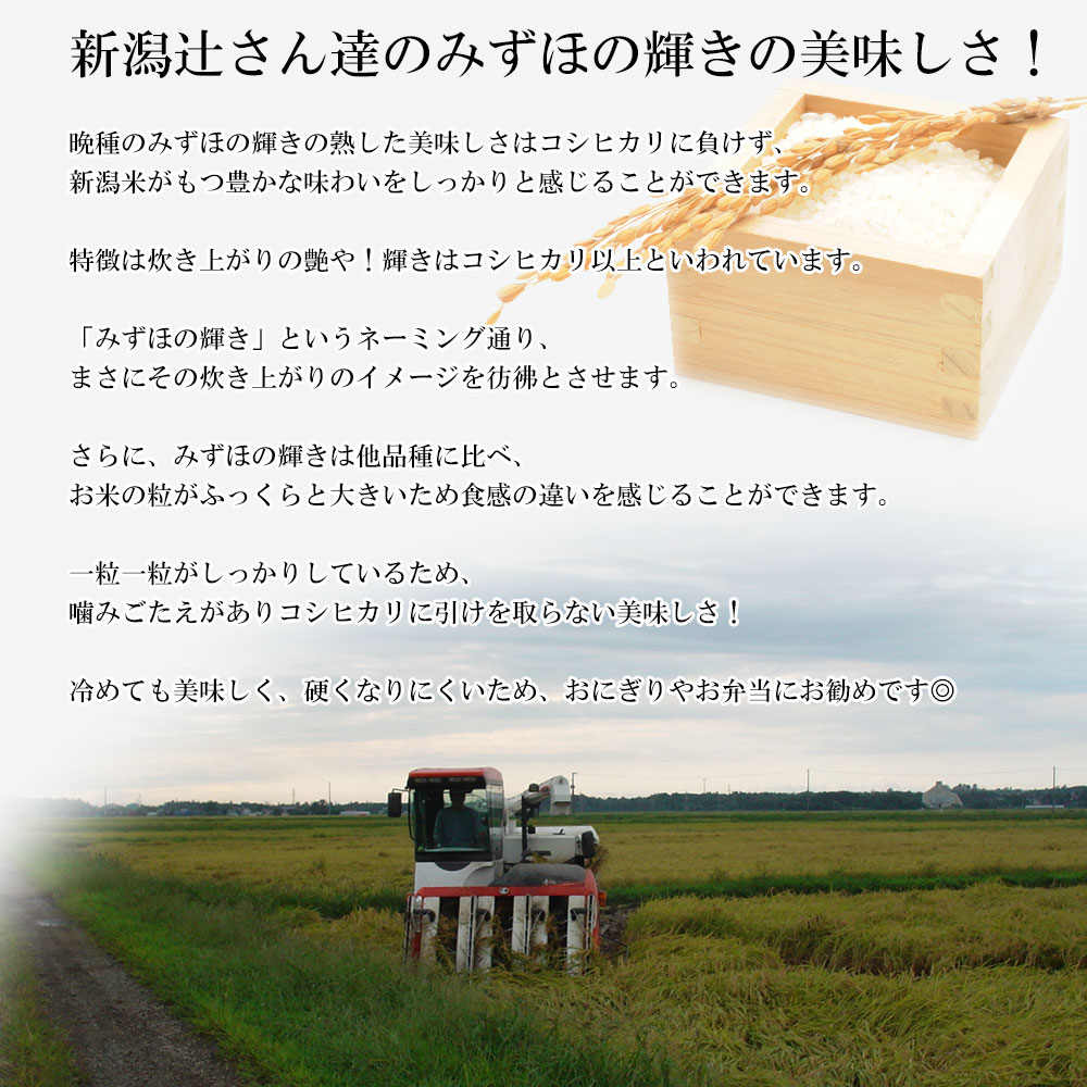 新米 米 30kg 送料無料 新潟産 1等米 みずほの輝き白米 農薬5割減 産年：令和5年 生産者：辻勉氏　お米の粒がふっくらと大きいため食感◎