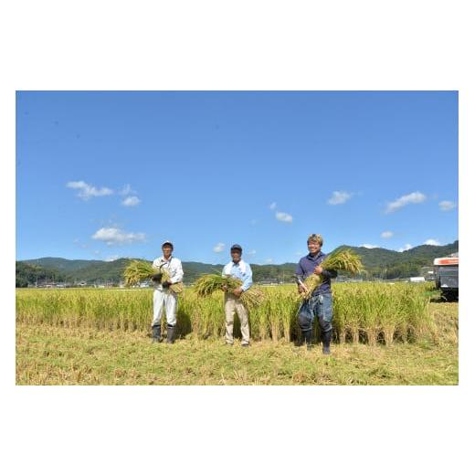 ふるさと納税 岡山県 総社市 令和5年産＜無洗米＞総社市産きぬむすめ　10kg〔3回配送〕23-036-003