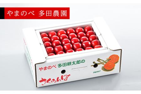 《先行予約》2024年 山形県産 「真夏のルビー紅姫」本詰 約500g L～2L やまのべ多田耕太郎のさくらんぼ サクランボ F20A-786