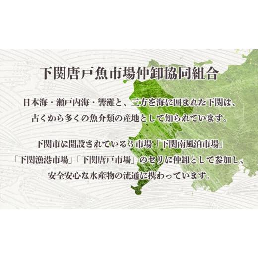 ふるさと納税 山口県 下関市 ふぐ ひれ 酒 とらふぐ トラフグ 焼き ヒレ 天然 カップ 付 下関 山口