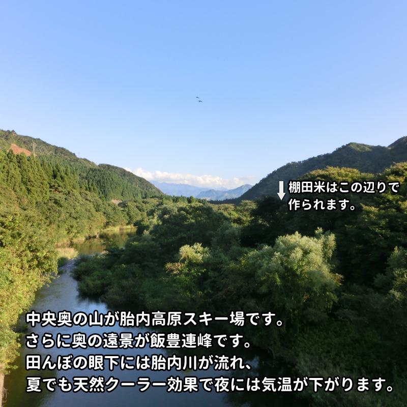 長寿祝に 希少米 新潟県産 コシヒカリ 4kg ありがとうの感謝を込めて お米 白米 新潟のお米 産地限定 送料無料