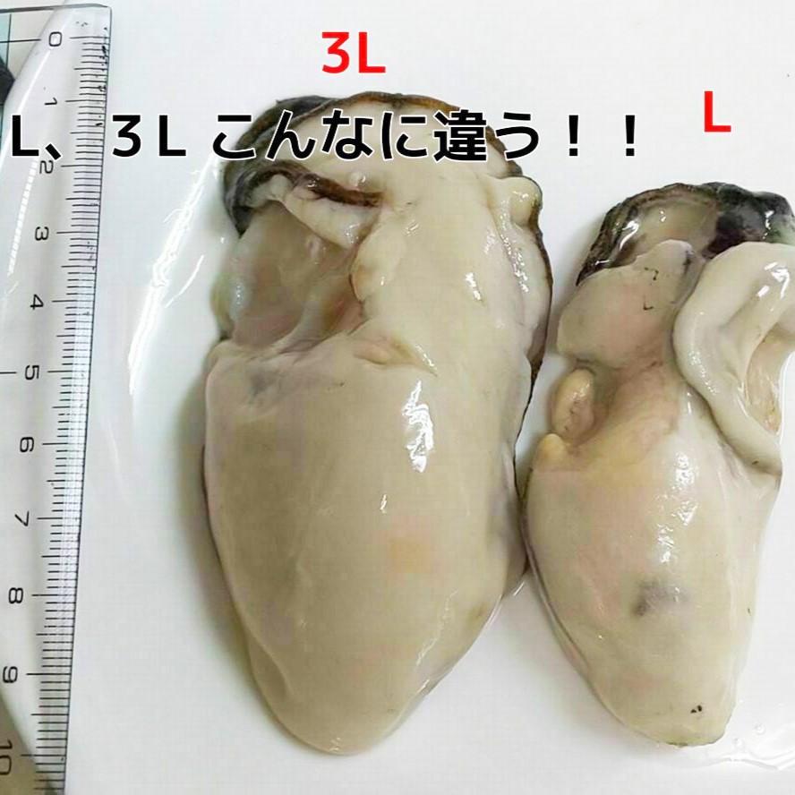 広島県産超特大牡蠣（1kg）プリプリ絶品