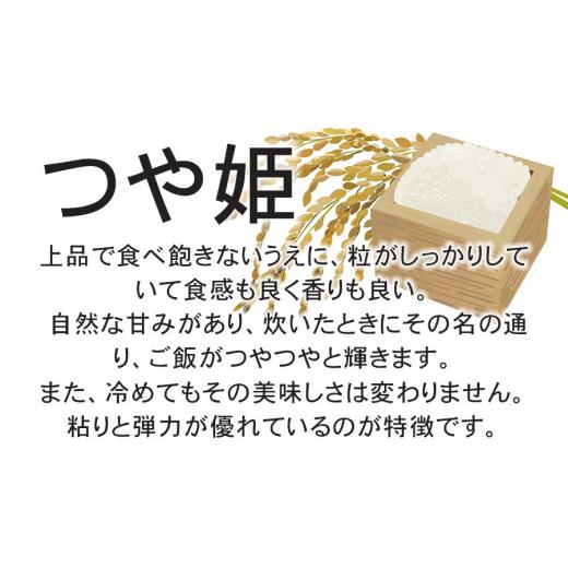 ふるさと納税 山形県 鶴岡市 特別栽培米つや姫 10kg (5kg×2袋)×6ヶ月　鶴岡協同ファーム