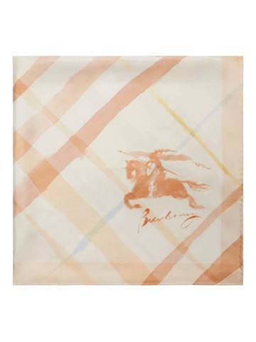 Burberry Scarfs