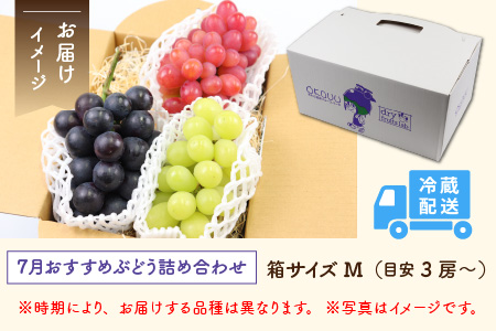 10月特選 ぶどうセットM 1kg以上（2～3房）／ 葡萄 シャインマスカット 完熟 ゴールデン シャイン 品種 おまかせ あわら 農家おすすめ ※2024年10月より順次発送