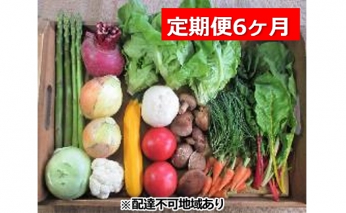 旬の野菜・定期便（6か月）