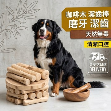 咖啡木磨牙棒 磨牙神器 狗玩具 咀嚼棒 磨牙潔齒 天然咖啡木 啃咬棒 咬咬木 潔牙木 寵物玩具 磨牙棒 QJ2686
