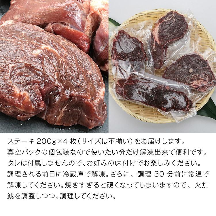 ステーキ 赤身 北海道産 雌牛 ヒレ 800g 国産 焼肉 和牛 肉 精肉 お取り寄せグルメ 食品 産直