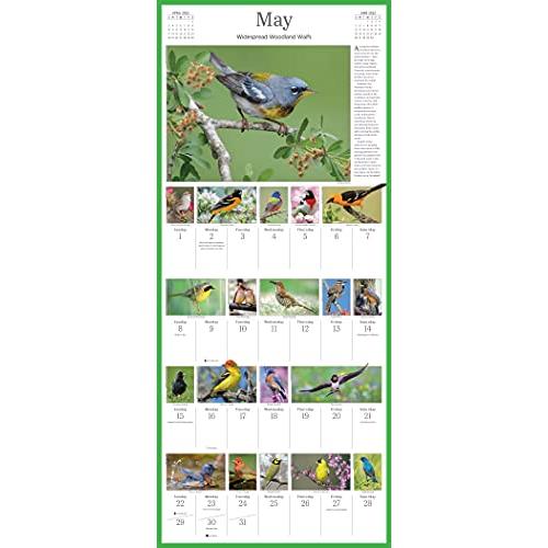 2022 Audubon Songbirds and Other Backyard Birds