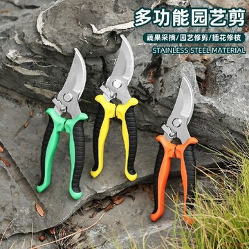 桃園出貨✨園藝專用剪子枝條剪修枝剪省力修剪樹枝果樹園林花卉造型花藝剪子