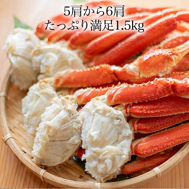 送料無料 厳選 ズワイガニボイル セクション　15肩から18肩入り 約4.5kg ボイルズワイガニ ずわい蟹脚