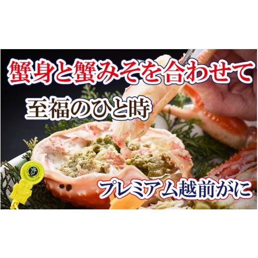 ふるさと納税 福井県 越前町 越前がに本場の越前町からお届け！ 越前がに × 1杯（四番蟹）至福のプレミアム越前がに【福井県 越前町 雄 ズワ…