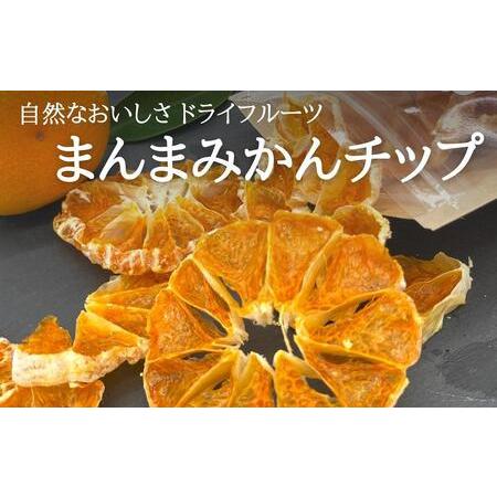 ふるさと納税 ドライフルーツ みかんチップ 200g 20g × 10袋 和歌山県産 果物使用 自社製造  和歌山県有田川町