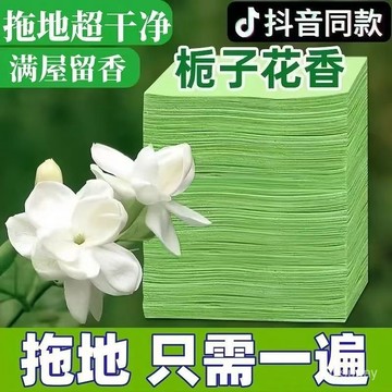 ⚡在台12Н出⚡地板清潔片 拖地清潔片 地板清潔劑 清潔片 水溶式清潔劑 地板清潔打蠟 拖地神器 地板清潔 地板打蠟