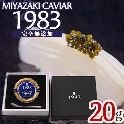 ふるさと納税 宮崎市 MIYAZAKI CAVIAR 1983 (20g)