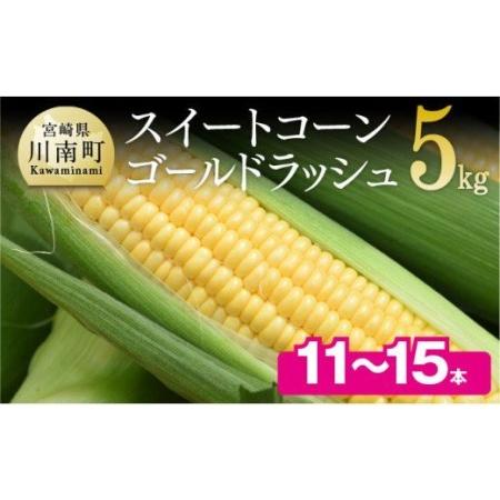 ふるさと納税 2024年発送 朝どれ！守部さんちのスイートコーン（ゴールドラッシュ）5kg（１１〜１５本）【 先行予約 数量限定 期間限定 とうもろ.. 宮崎県川南町