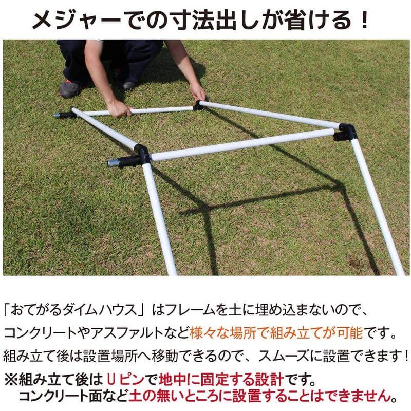 DAIM 夏は雨よけ、冬は保温で一年中使える おてがるダイムハウス 2.3m×2.3m 家庭用 温室ハウス 家庭用温室ハウス 温室 ビニール