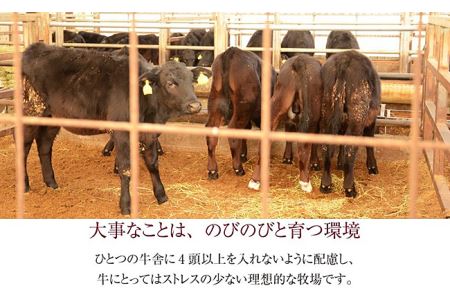 76-69新潟県産牛（長岡産）サーロイン1kgブロック
