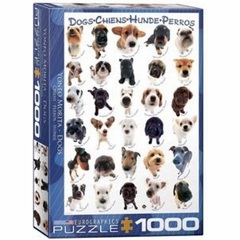 Eurographics 1000ピース ジグソーパズル ユーログラフィックス 森田米雄 犬 6000 1510 通販 Lineポイント最大0 5 Get Lineショッピング