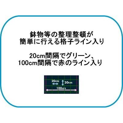 日本ワイドクロス　抗菌アグリシート　SK1515　(防草シート)　シルバーグレー　幅3m×長さ100m