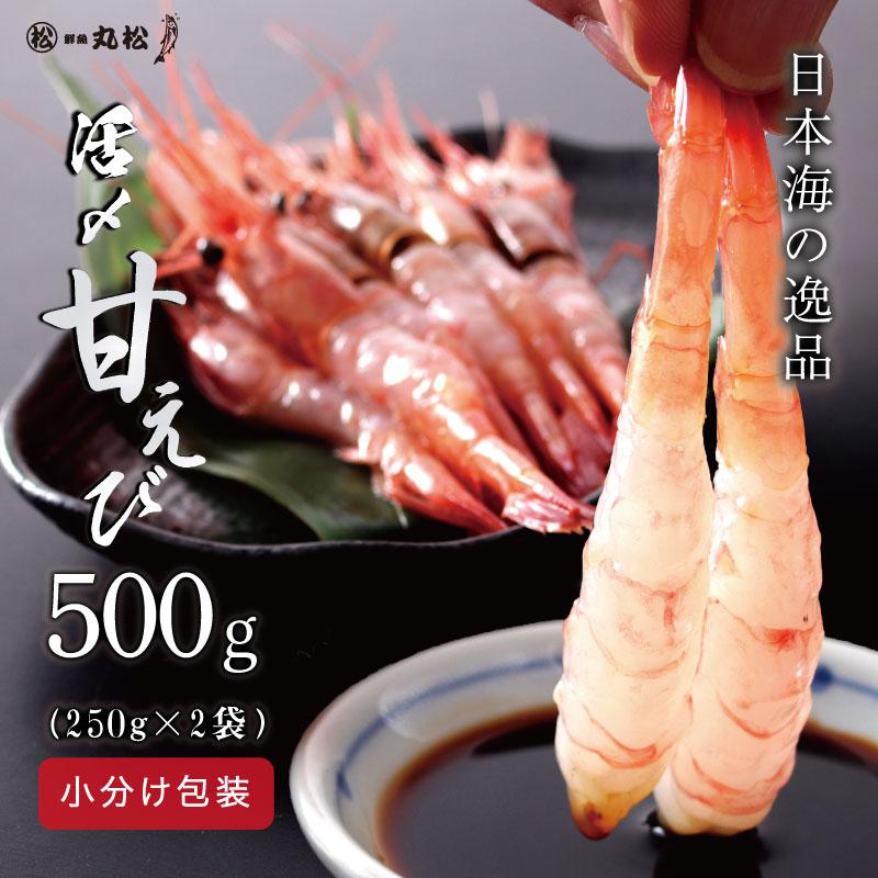 福井県越前産 エビ 甘エビ 海老 えび 大サイズ 500g(約250g × 2パック) 小分け包装 送料無料 内祝い お歳暮 プレゼント ギフト 年末年始