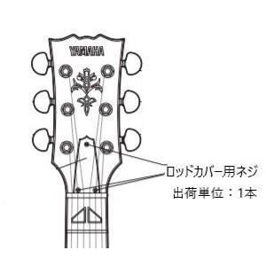ZEMAITIS トラスロッドカバー カスタムショップ取り外し - メルカリ